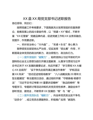 XX县XX局党支部书记述职报告