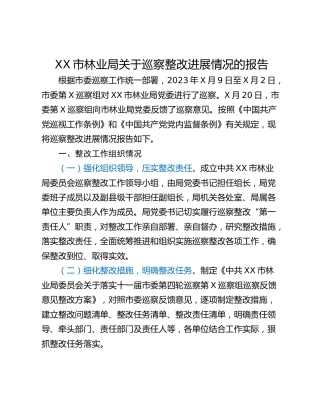 XX市林业局关于巡察整改进展情况的报告