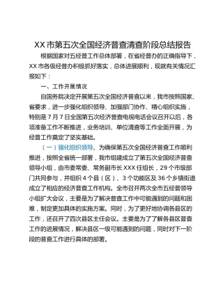 XX市第五次全国经济普查清查阶段总结报告