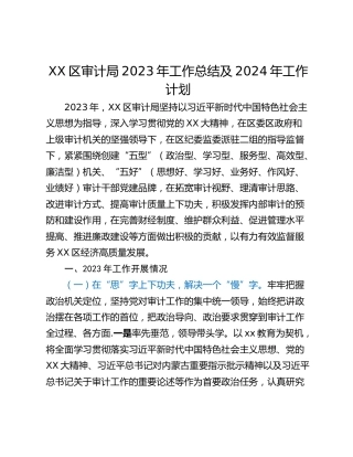 XX区审计局2023年工作总结及2024年工作计划