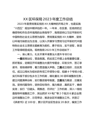 XX区环保局2023年度工作总结