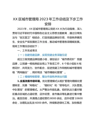 XX区城市管理局2023年工作总结及下步工作安排