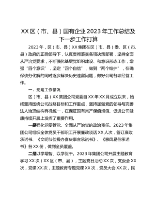 XX区（市、县）国有企业2023年工作总结及下一步工作打算