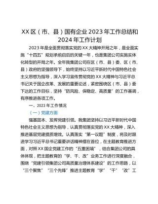 XX区（市、县）国有企业2023年工作总结和2024年工作计划