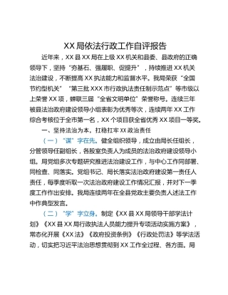XX局依法行政工作自评报告