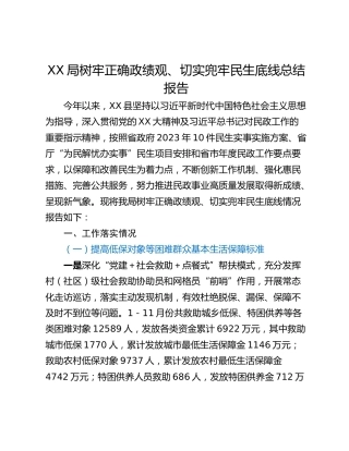 XX局树牢正确政绩观、切实兜牢民生底线总结报告