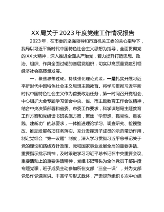 XX局关于2023年度党建工作情况报告