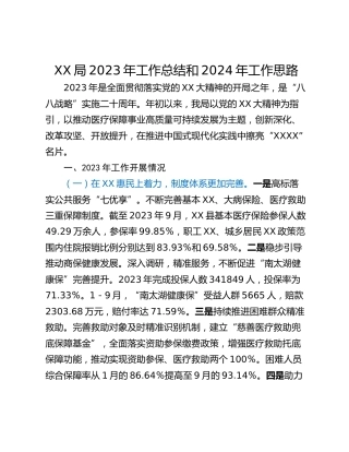 XX局2023年工作总结和2024年工作思路