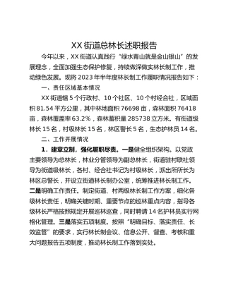 XX街道总林长述职报告