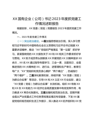 XX国有企业（公司）书记2023年度抓党建工作情况述职报告