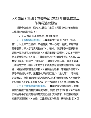 XX国企（集团）党委书记2023年度抓党建工作情况述职报告
