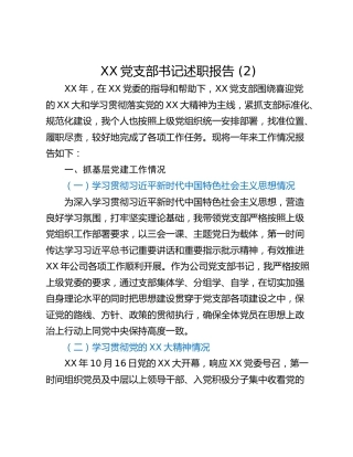 XX党支部书记述职报告 (2)