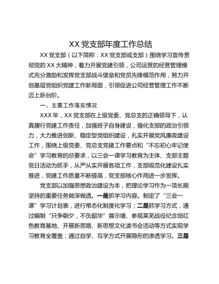 XX党支部年度工作总结