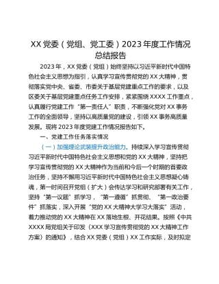 XX党委（党组、党工委）2023年度工作情况总结报告