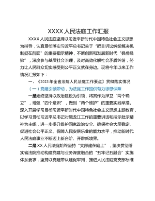 XXXX人民法庭工作汇报