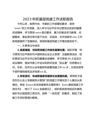 2023年抓基层党建工作述职报告 (2)