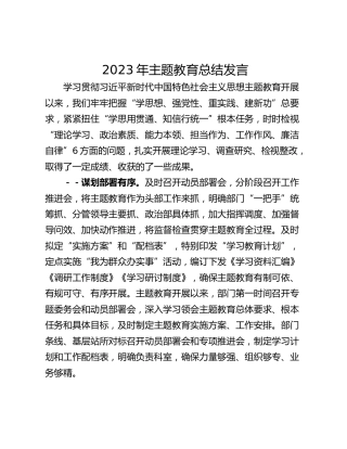 2023年主题教育总结发言