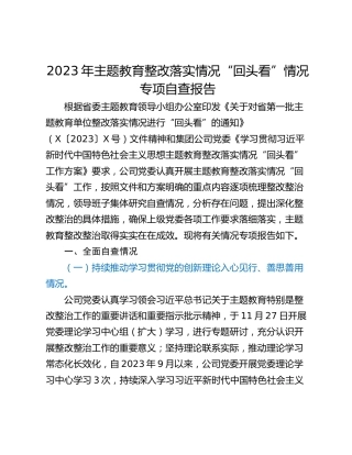 2023年主题教育整改落实情况“回头看”情况专项自查报告_1