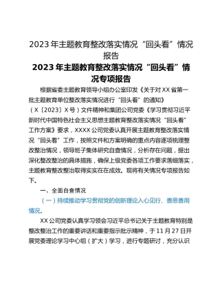 2023年主题教育整改落实情况“回头看”情况报告