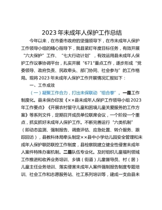2023年未成年人保护工作总结