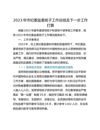2023年市纪委监委班子工作总结及下一步工作打算