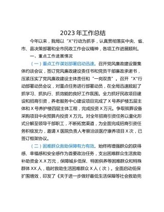 2023年工作总结