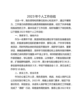 2023年个人工作总结