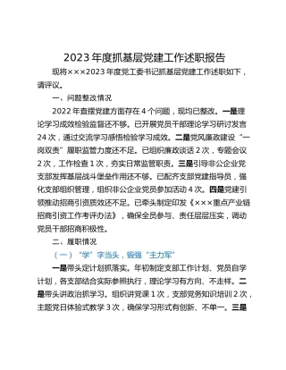 2023年度抓基层党建工作述职报告 (2)