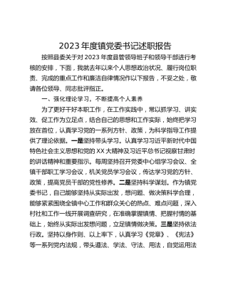 2023年度镇党委书记述职报告