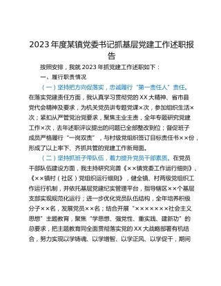 2023年度某镇党委书记抓基层党建工作述职报告