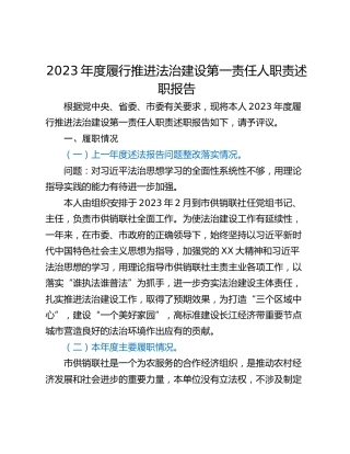 2023年度履行推进法治建设第一责任人职责述职报告