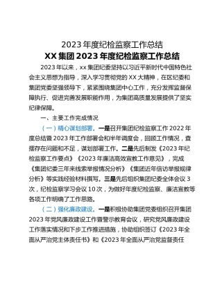 2023年度纪检监察工作总结