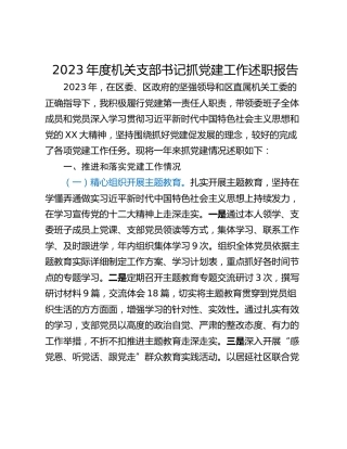 2023年度机关支部书记抓党建工作述职报告
