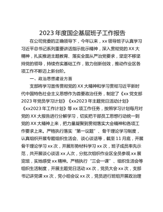 2023年度国企基层班子工作报告