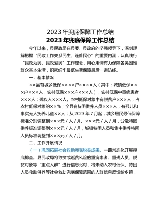 2023年兜底保障工作总结