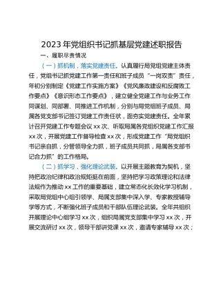 2023年党组织书记抓基层党建述职报告_1