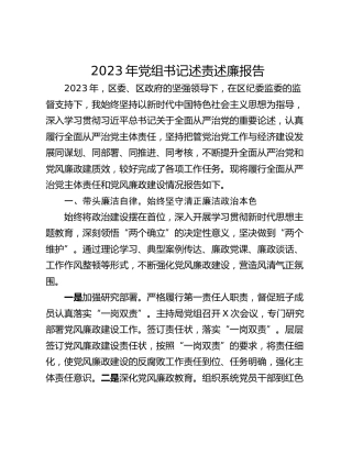 2023年党组书记述责述廉报告