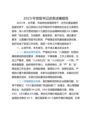 2023年党组书记述责述廉报告 (2)