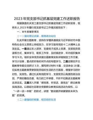 2023年党支部书记抓基层党建工作述职报告_1