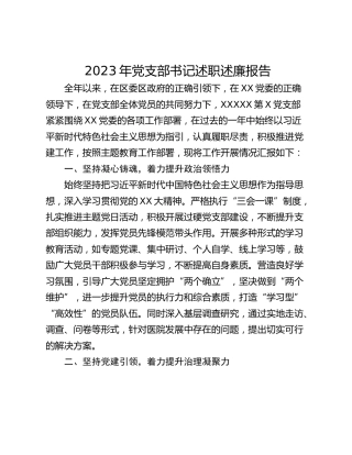 2023年党支部书记述职述廉报告