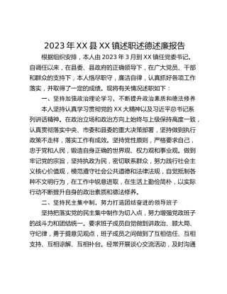 2023年XX县XX镇述职述德述廉报告