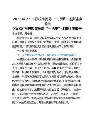 2023年XX市行政审批局“一把手”述责述廉报告