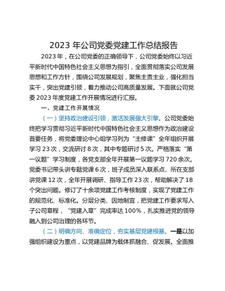 2023 年公司党委党建工作总结报告