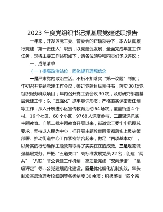 2023 年度党组织书记抓基层党建述职报告