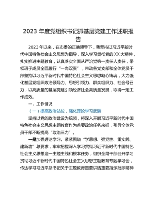 2023 年度党组织书记抓基层党建工作述职报告