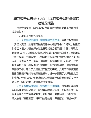 .镇党委书记关于2023年度党委书记抓基层党建情况报告