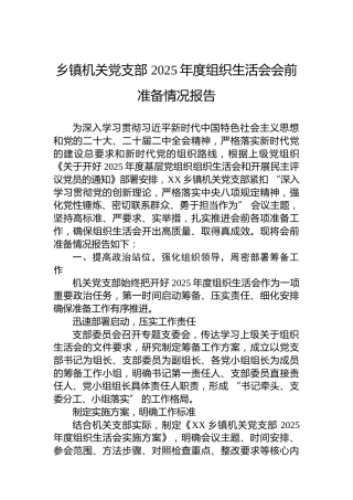 乡镇机关党支部2025年度组织生活会会前准备情况报告