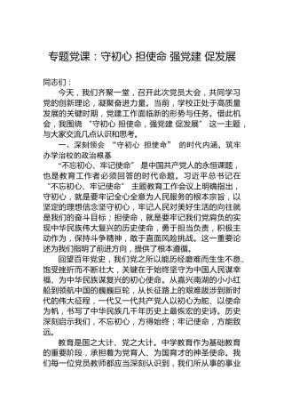 专题党课：守初心担使命强党建促发展