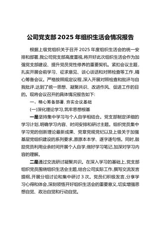 公司党支部2025年组织生活会情况报告