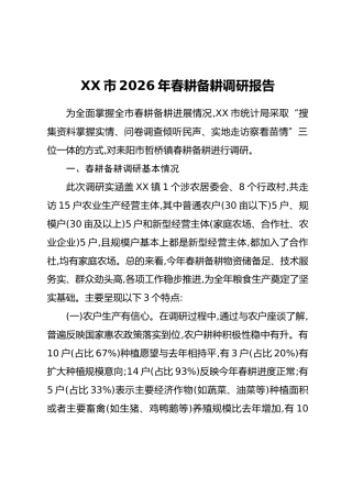 XX市2026年春耕备耕调研报告